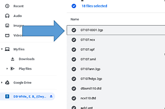 Screenshot of files selected highlited in grey with checkmarks on the left side
