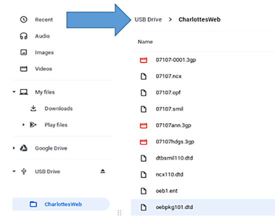 Screenshot of USB Drive folder with a folder titled CharlottesWeb