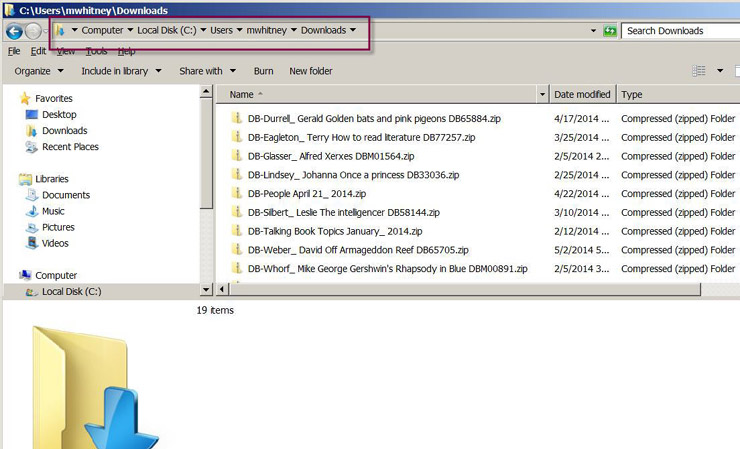 Screenshot showing the Downloads folder path.