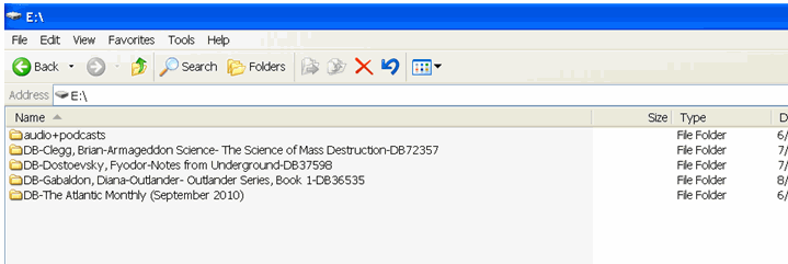 Screenshot showing a user's flash drive directory with five folders listed.
