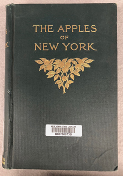 cover of The Apples of New York