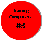 training component #3