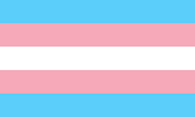 Trans pride flag, consisting of five horizontal stripes in, from top to bottom, light blue, pink, white, pink and light blue.