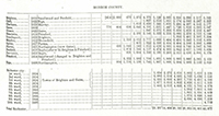 1855 Census Rochester with Monroe County