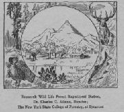 A drawing of a mountain scene surrounded by wild life images, from the cover of a publication by the Roosevelt Station.
