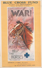 English WWI poster: Blue Cross Fund